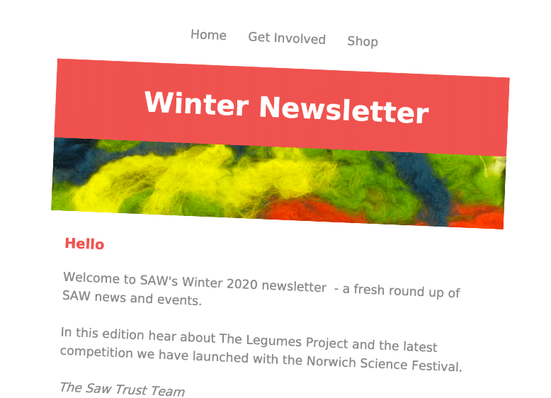 SAW Newsletter