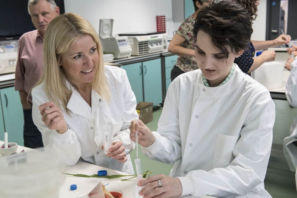 The Global Garden workshop