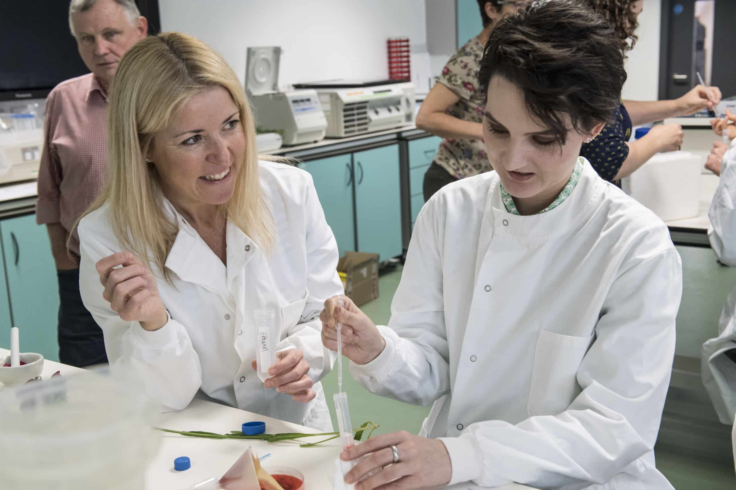 The Global Garden workshop