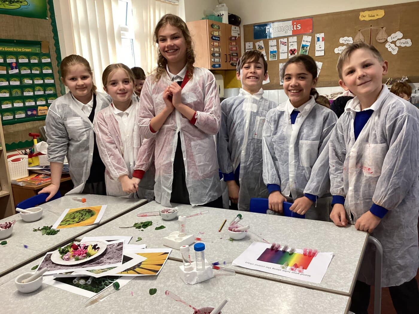 Tacolneston Primary plant colours