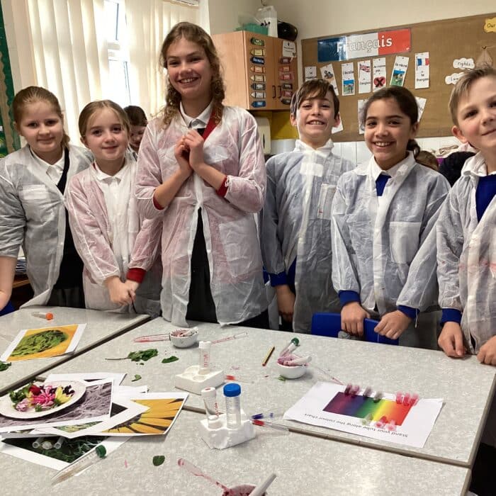 Tacolneston Primary plant colours