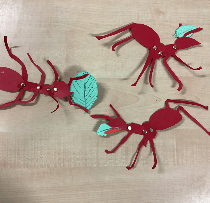 Leaf cutter ants made during a science, art and writing workshop at Drake primary school