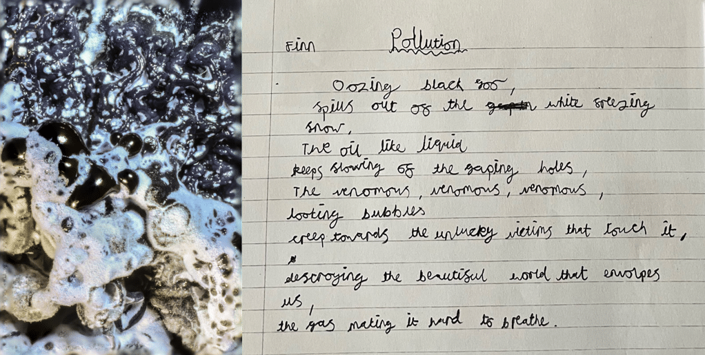 Poem titled "pollution" by Erin, year 5 Student. create during a Science, art and writing workshop