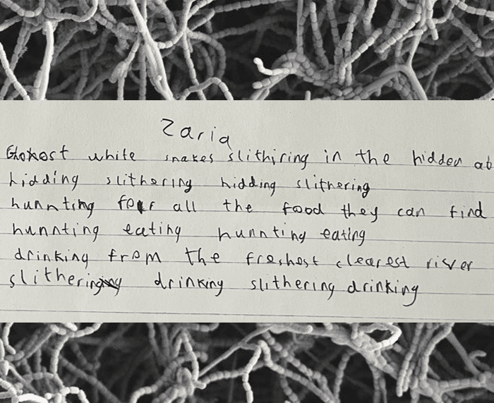 Poem inspired by scientific image