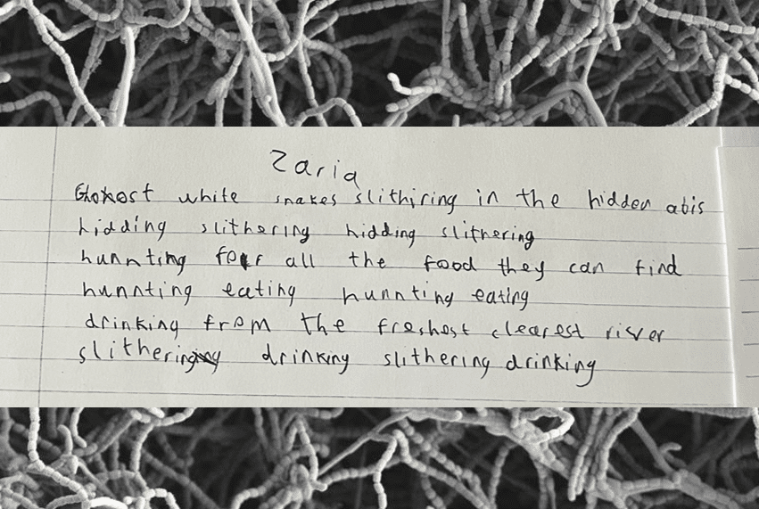 Poem inspired by scientific image